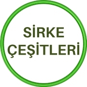 SİRKE ÇEŞİTLERİ